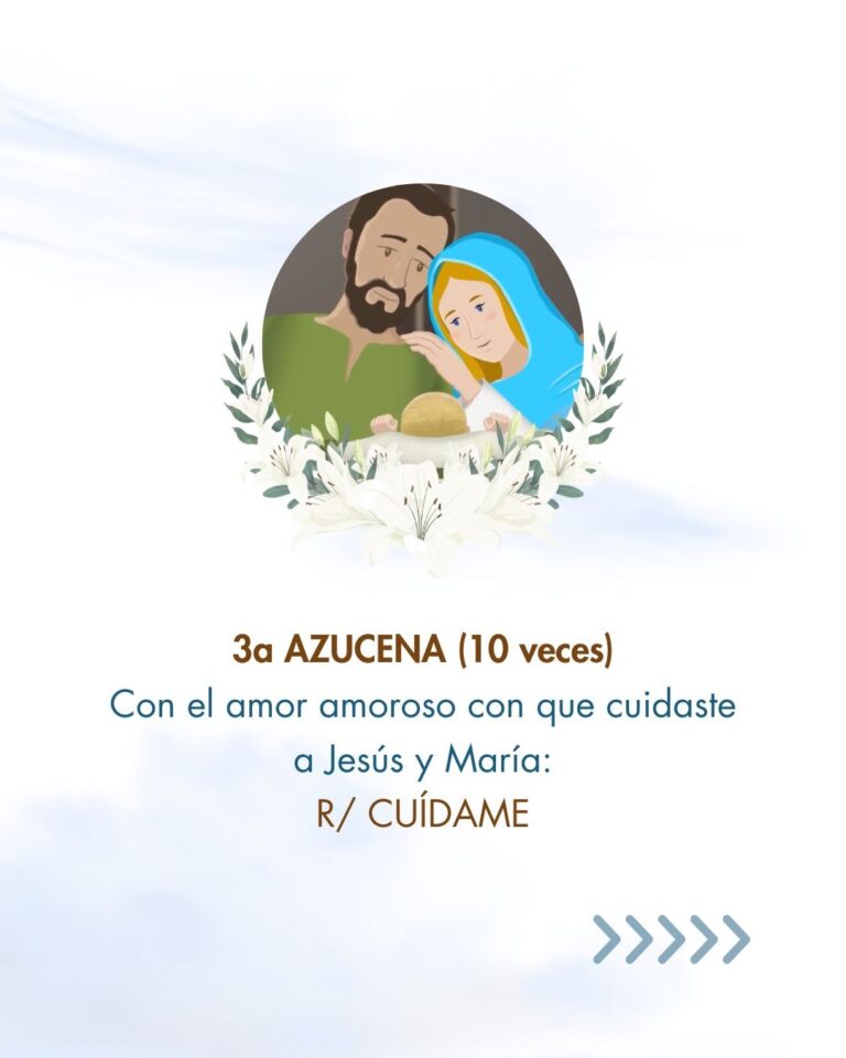 Azucenas a San José 04