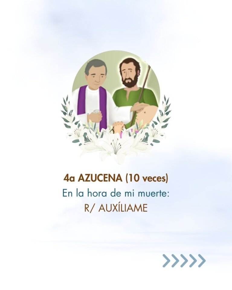 Azucenas a San José 05