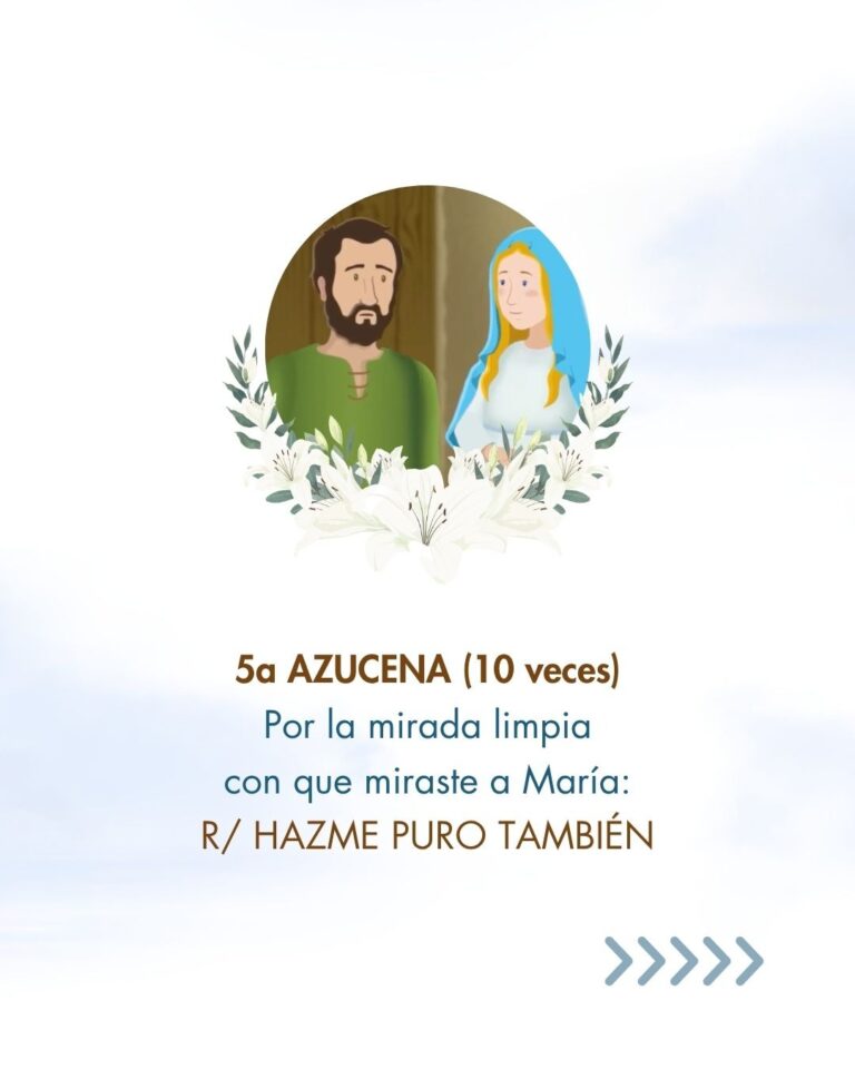 Azucenas a San José 06